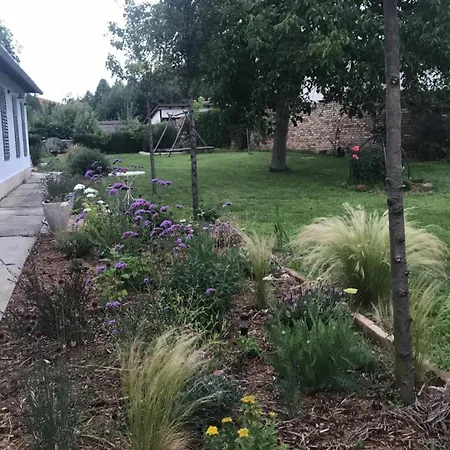 Lelle Holiday home